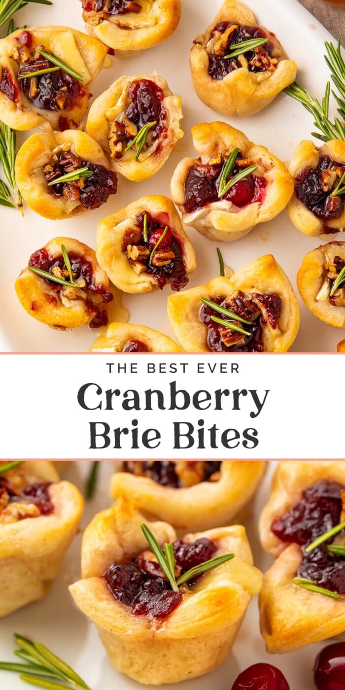 Pin graphic for cranberry brie bites