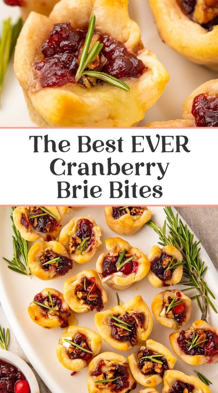 Pin graphic for cranberry brie bites