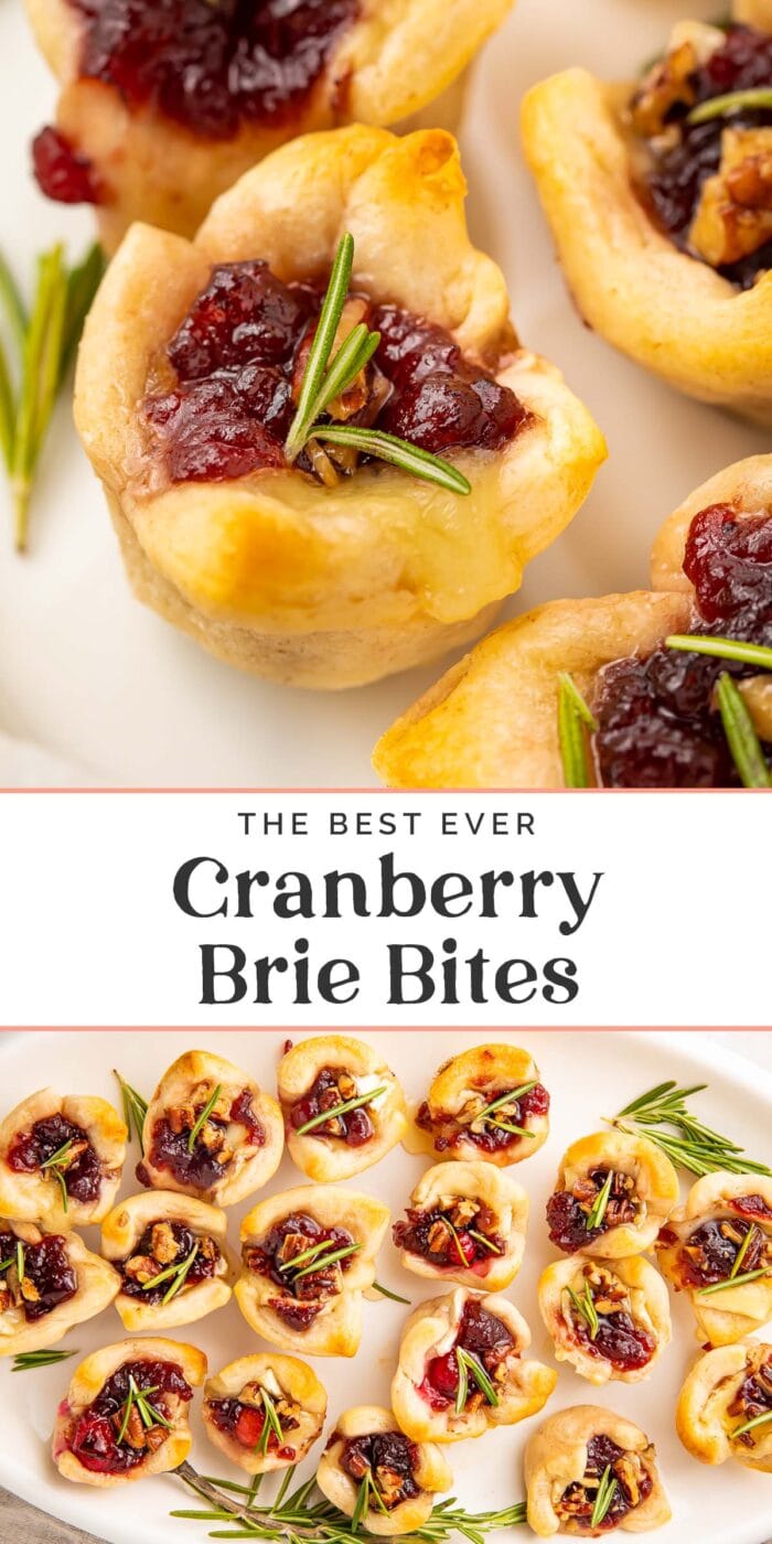 Pin graphic for cranberry brie bites