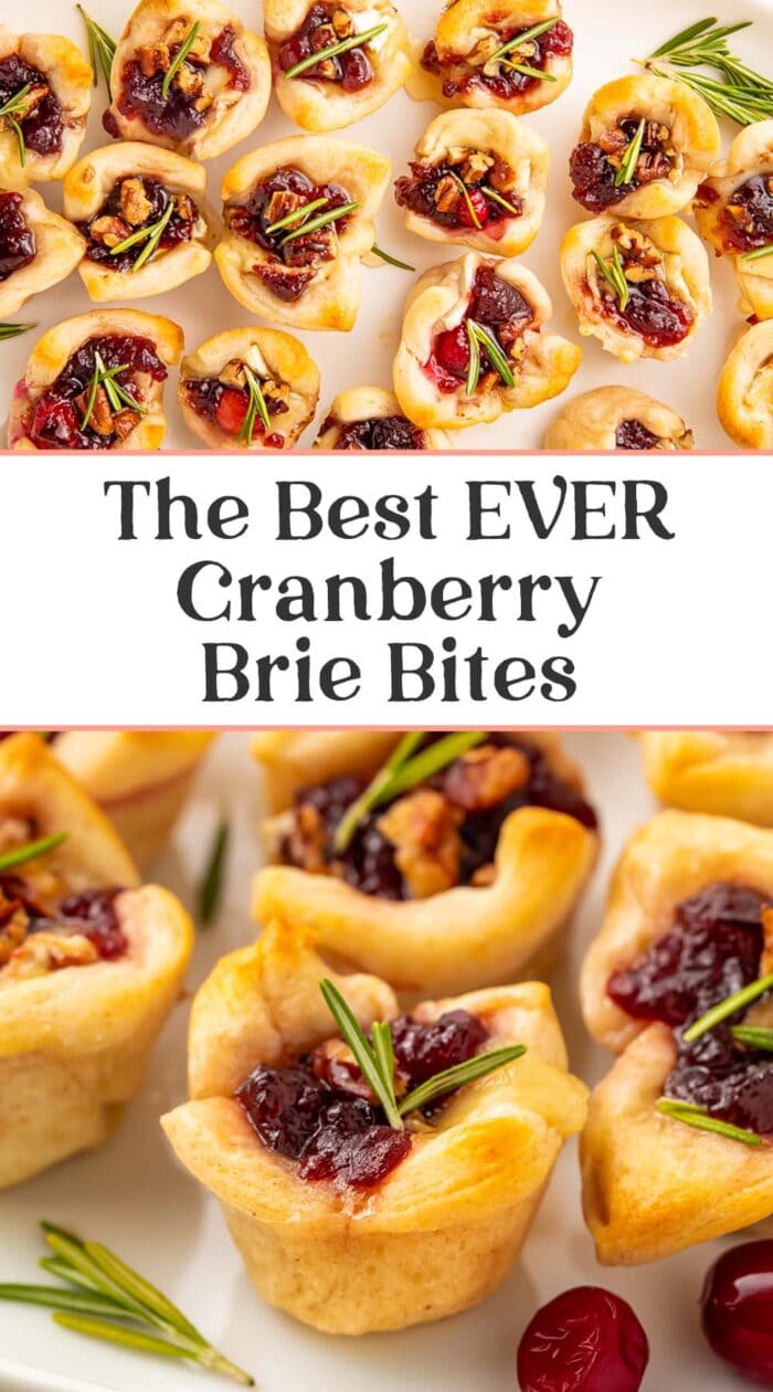 Pin graphic for cranberry brie bites