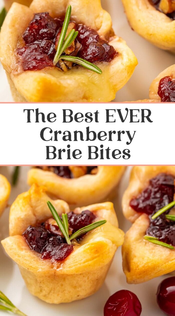 Pin graphic for cranberry brie bites