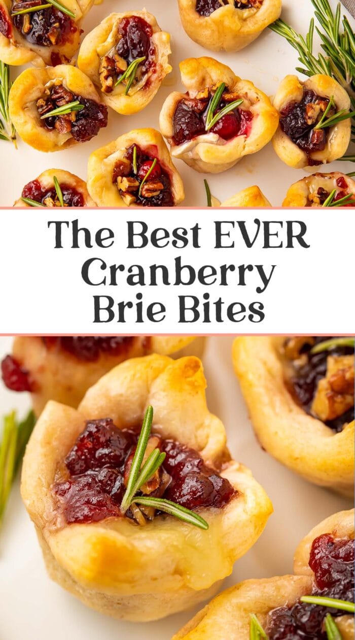 Pin graphic for cranberry brie bites