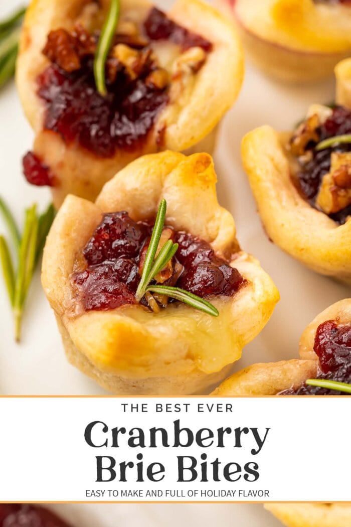 Pin graphic for cranberry brie bites