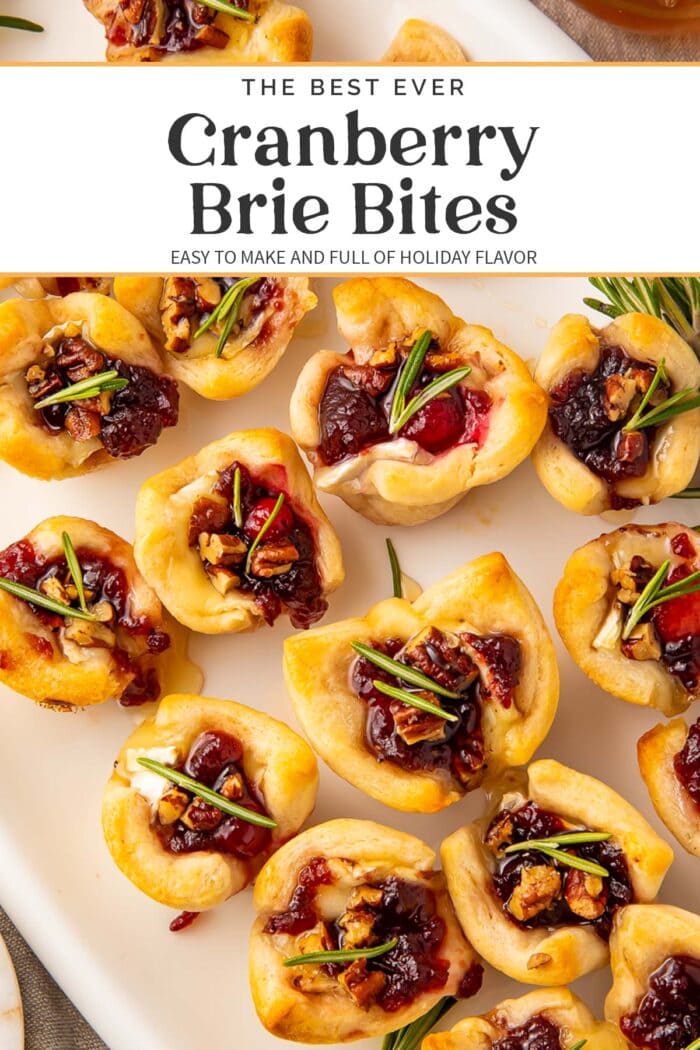 Pin graphic for cranberry brie bites