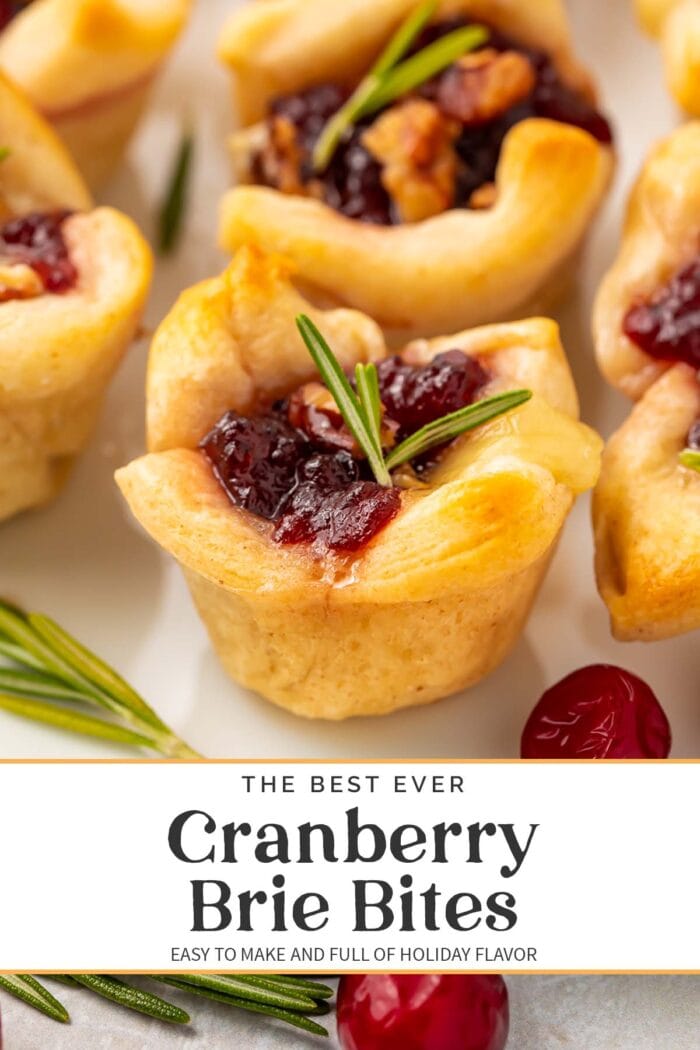 Pin graphic for cranberry brie bites