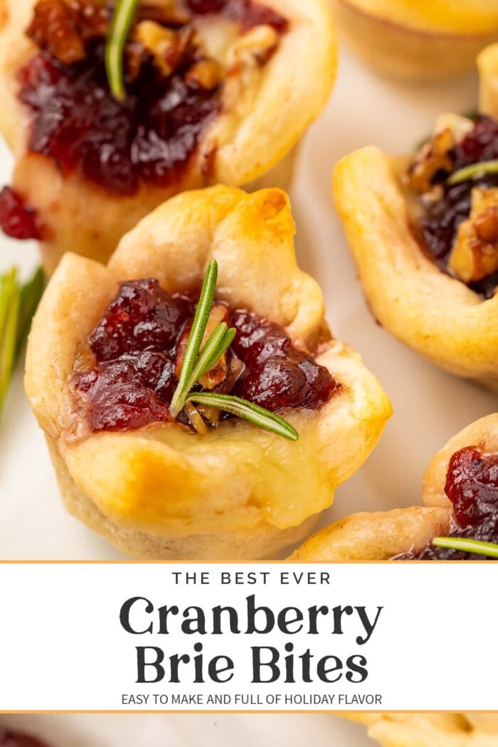 Pin graphic for cranberry brie bites