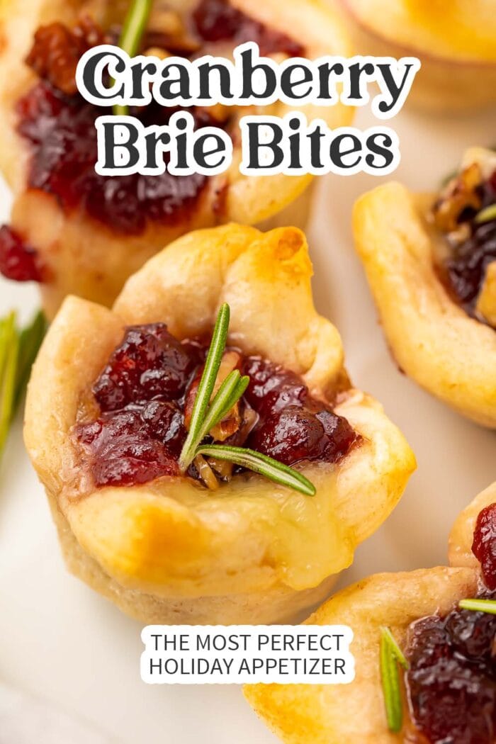 Pin graphic for cranberry brie bites