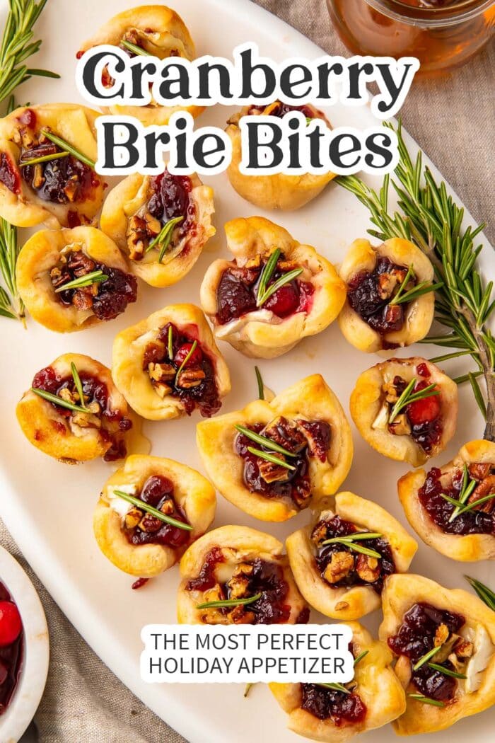 Pin graphic for cranberry brie bites