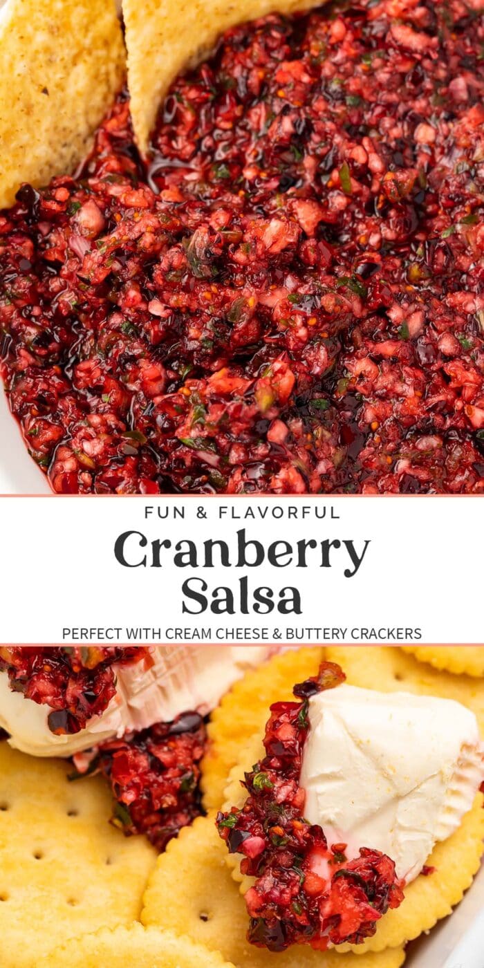 Pin graphic for cranberry salsa