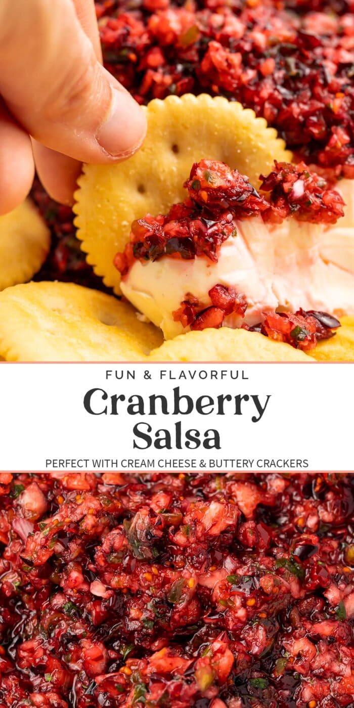 Pin graphic for cranberry salsa