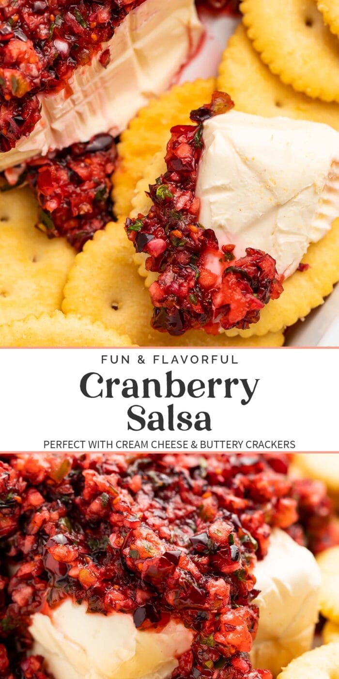 Pin graphic for cranberry salsa