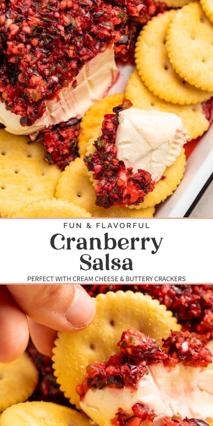 Pin graphic for cranberry salsa