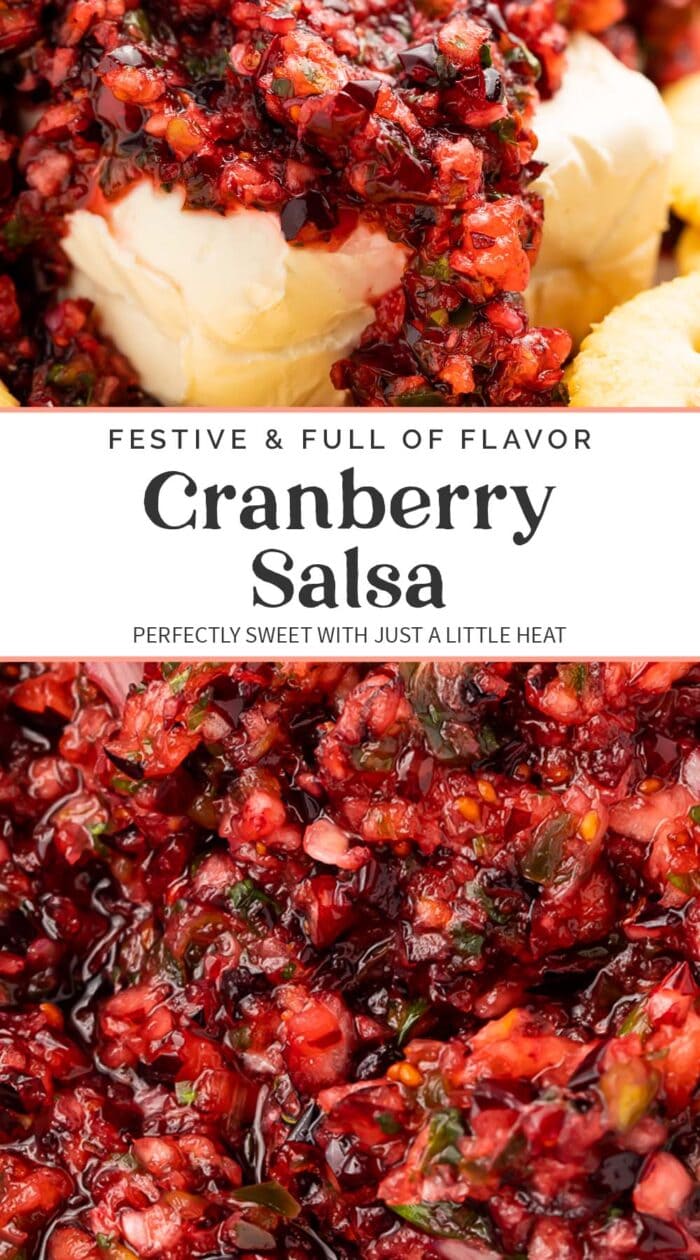 Pin graphic for cranberry salsa