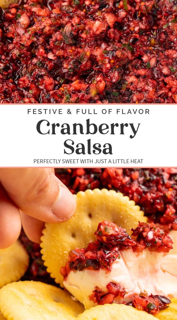 Pin graphic for cranberry salsa