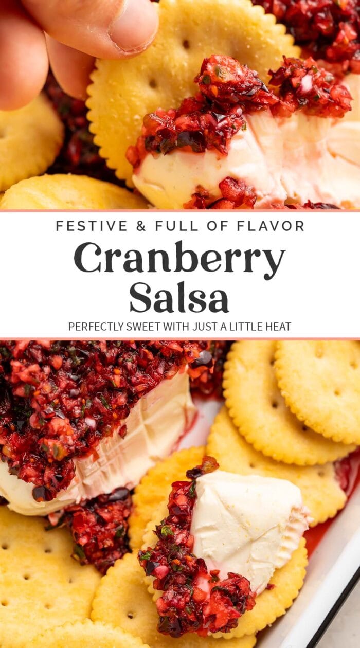 Pin graphic for cranberry salsa