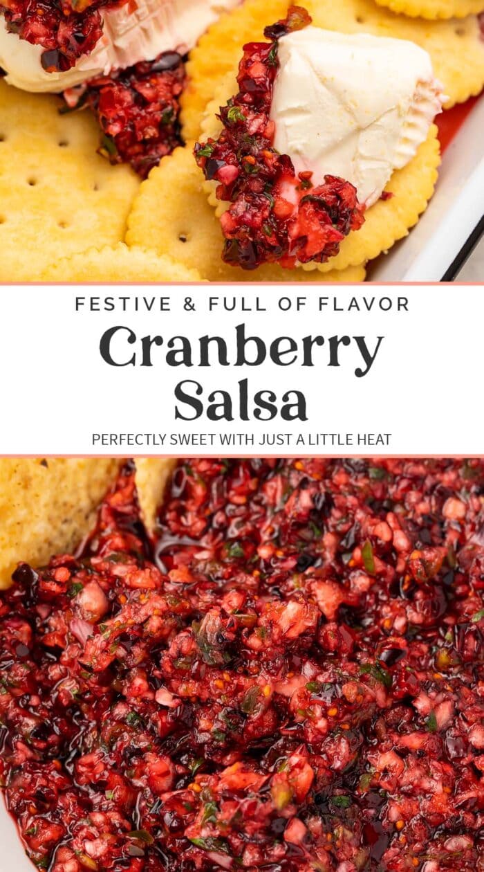 Pin graphic for cranberry salsa