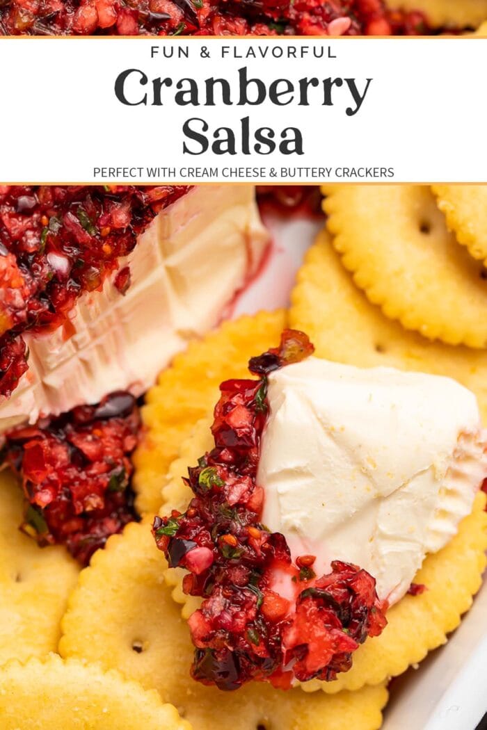 Pin graphic for cranberry salsa