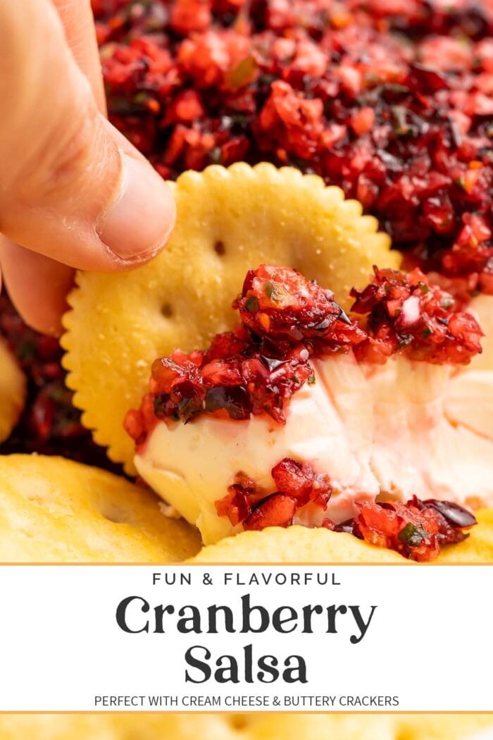 Pin graphic for cranberry salsa