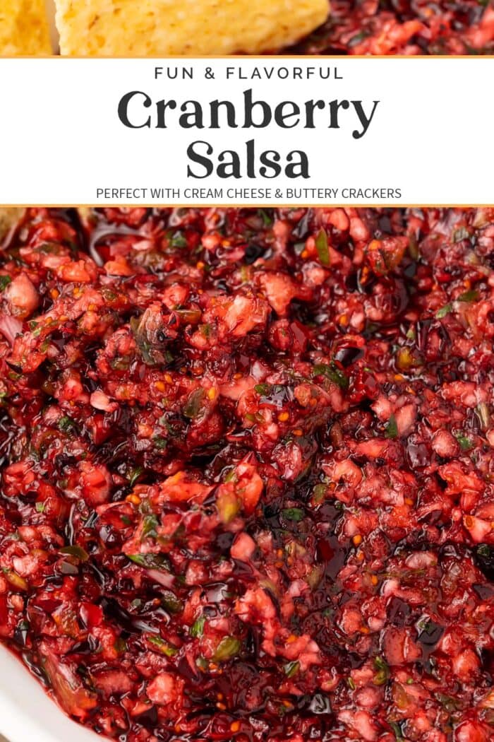 Pin graphic for cranberry salsa