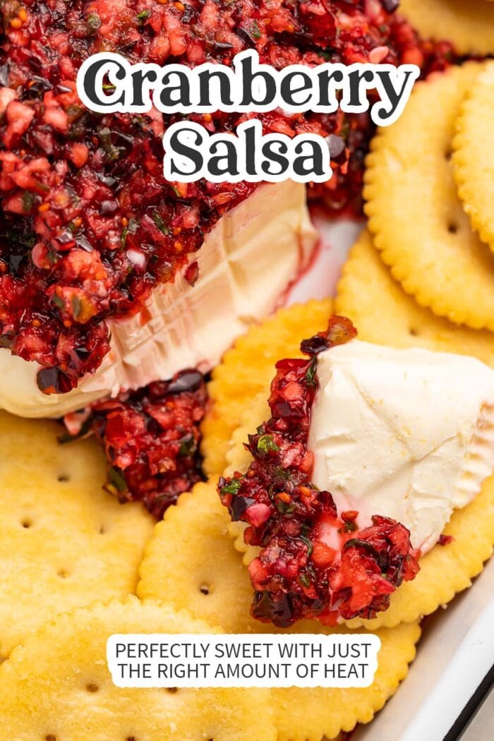 Pin graphic for cranberry salsa