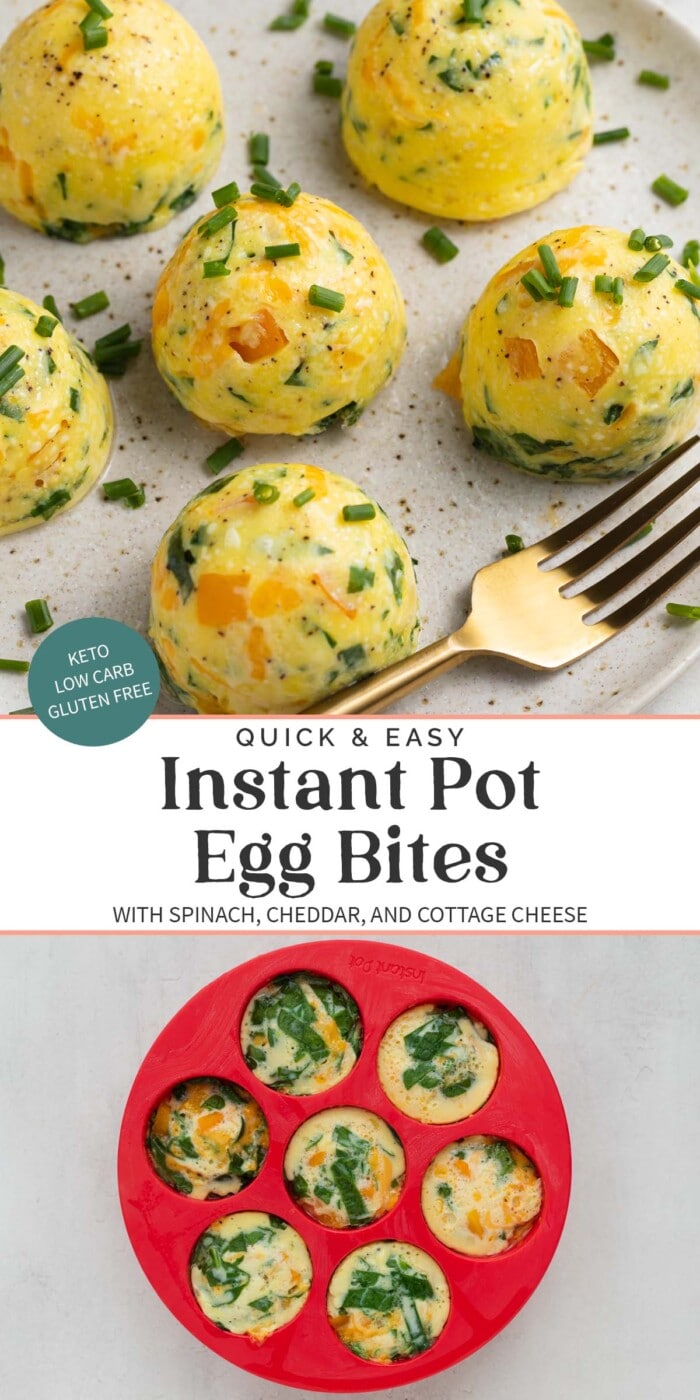 Pin graphic for Instant Pot egg bites