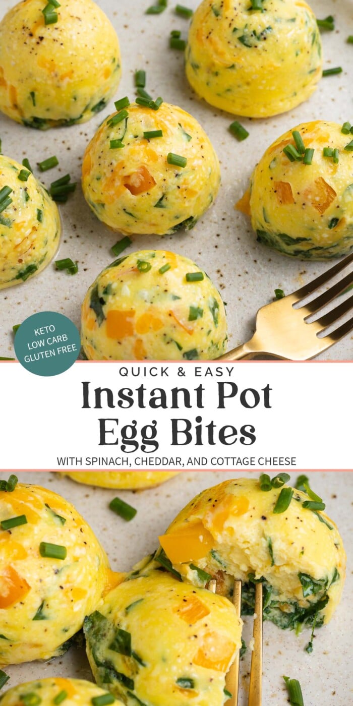 Pin graphic for Instant Pot egg bites