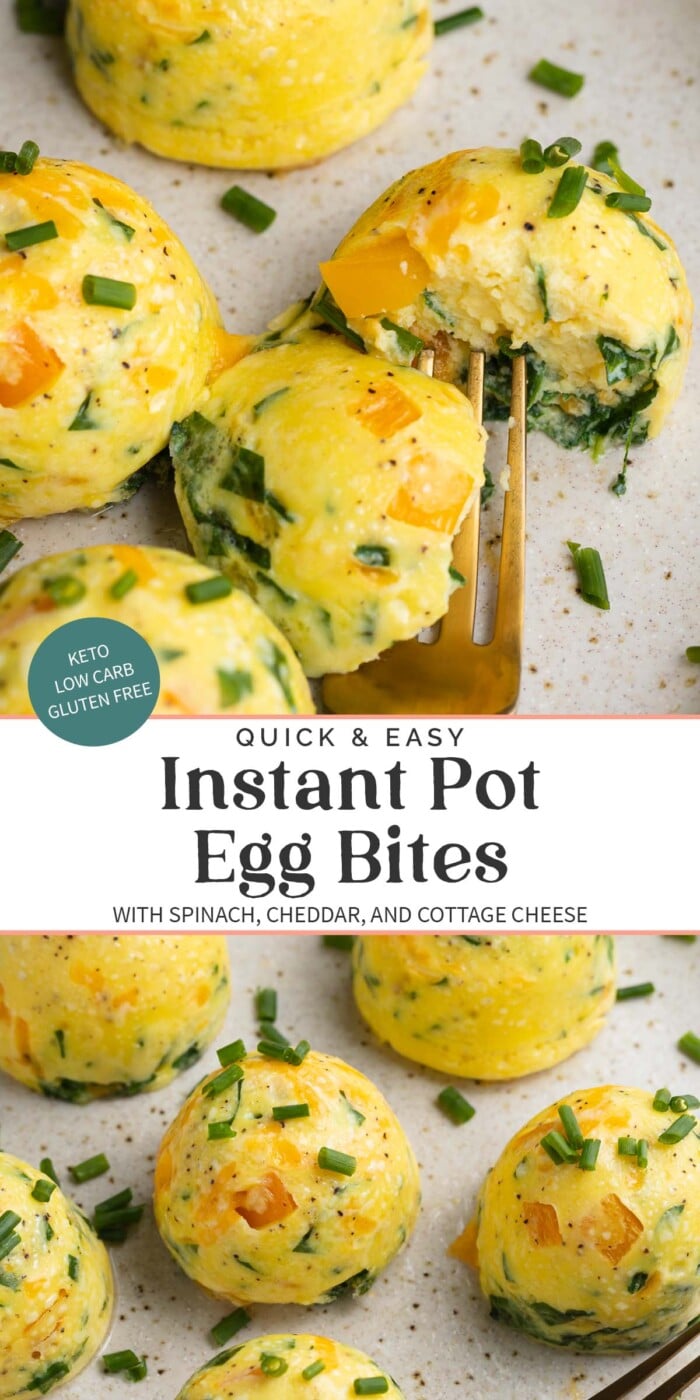 Pin graphic for Instant Pot egg bites