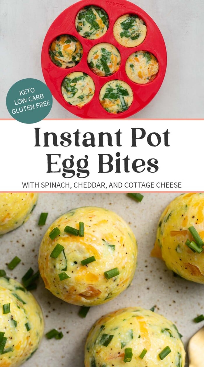 Pin graphic for Instant Pot egg bites