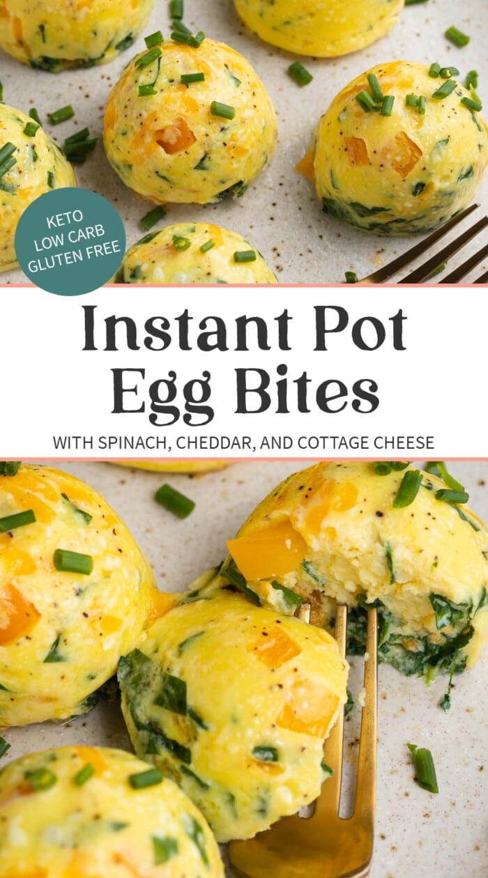 Pin graphic for Instant Pot egg bites