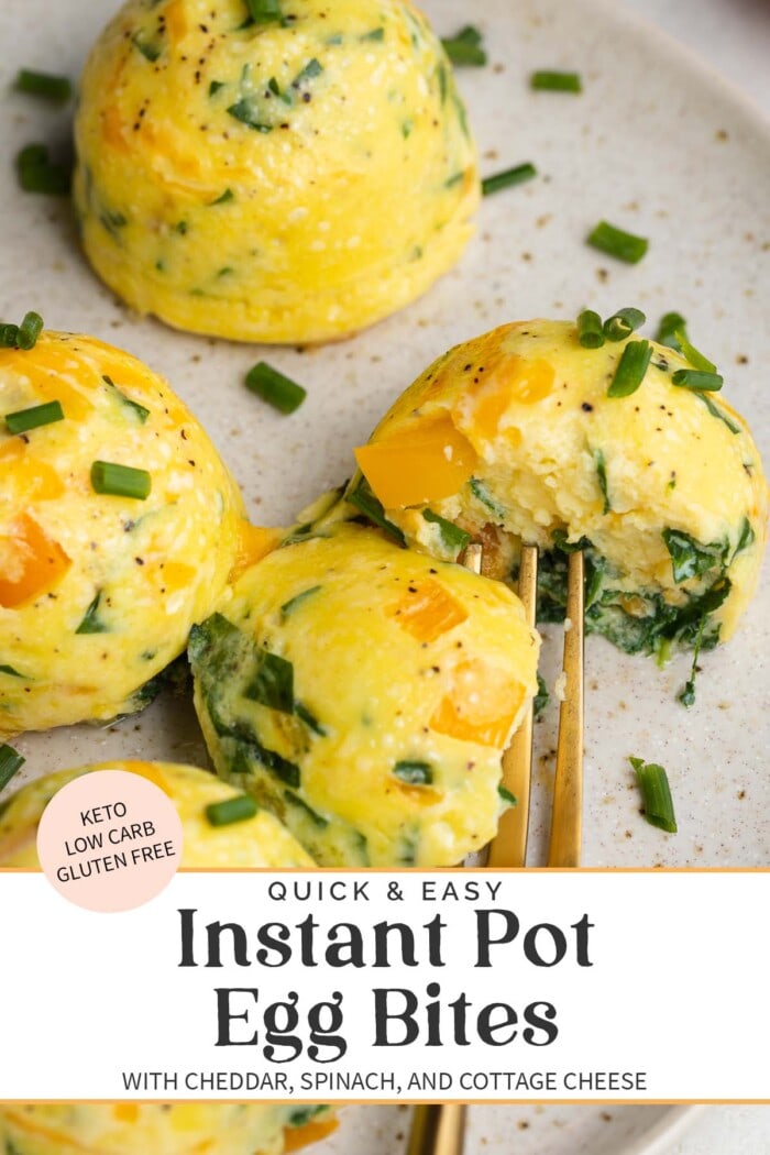 Pin graphic for Instant Pot egg bites