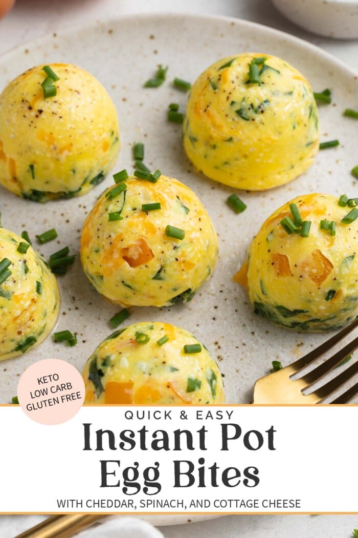 Pin graphic for Instant Pot egg bites