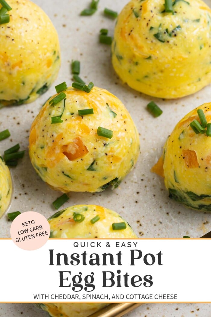 Pin graphic for Instant Pot egg bites