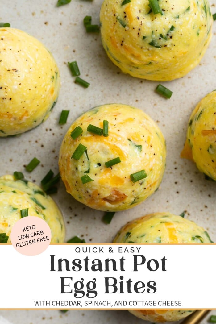 Pin graphic for Instant Pot egg bites