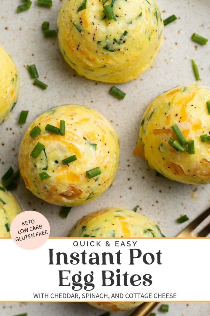 Pin graphic for Instant Pot egg bites