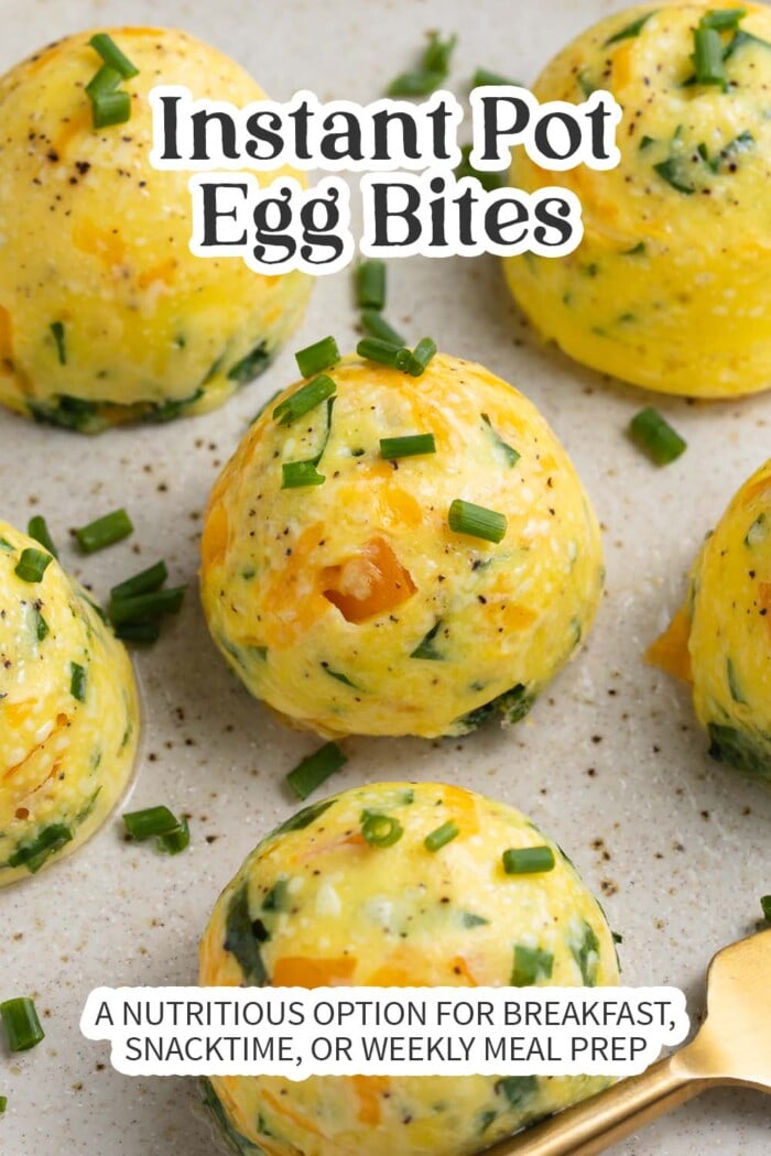 Pin graphic for Instant Pot egg bites