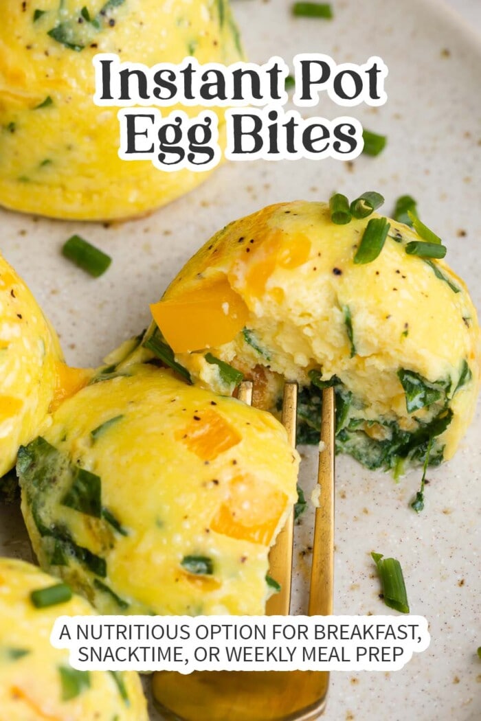 Pin graphic for Instant Pot egg bites