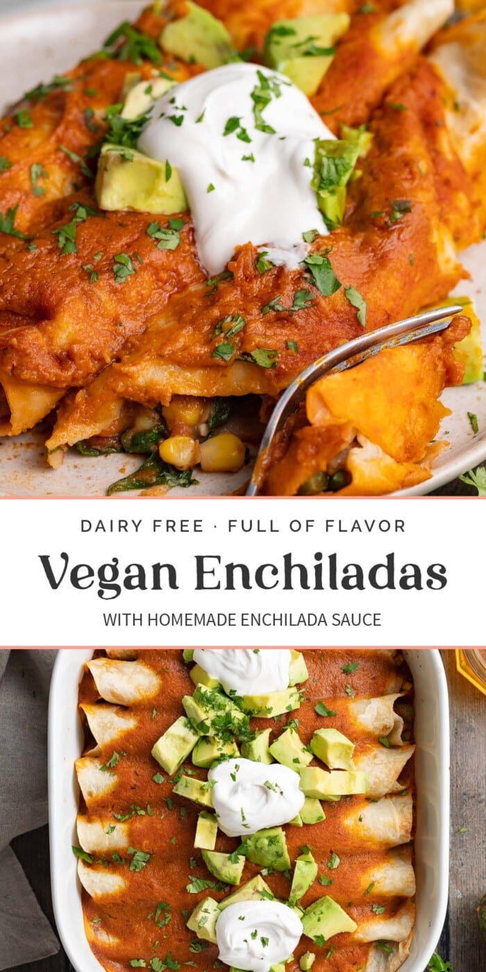 Pin graphic for vegan enchiladas