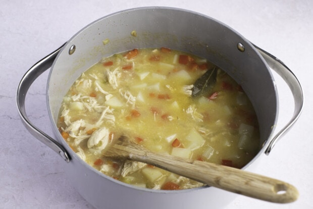 Chicken, chicken broth, and mirepoix in large heavy-bottomed pot with wooden spoon on a white background.