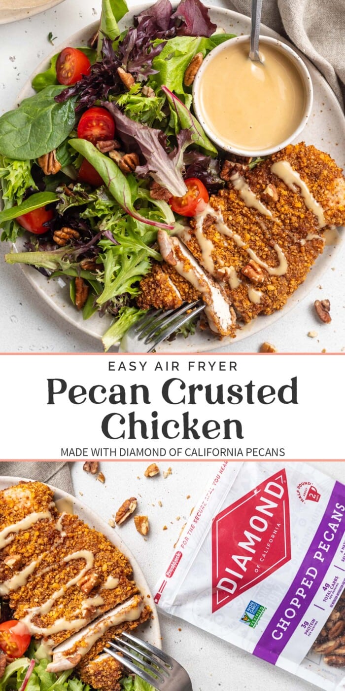 Pin graphic for air fryer pecan-crusted chicken.