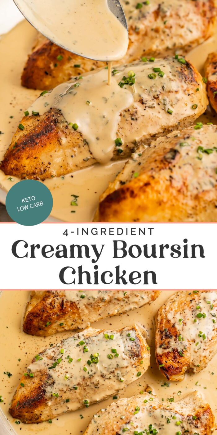 Pin graphic for creamy boursin chicken.