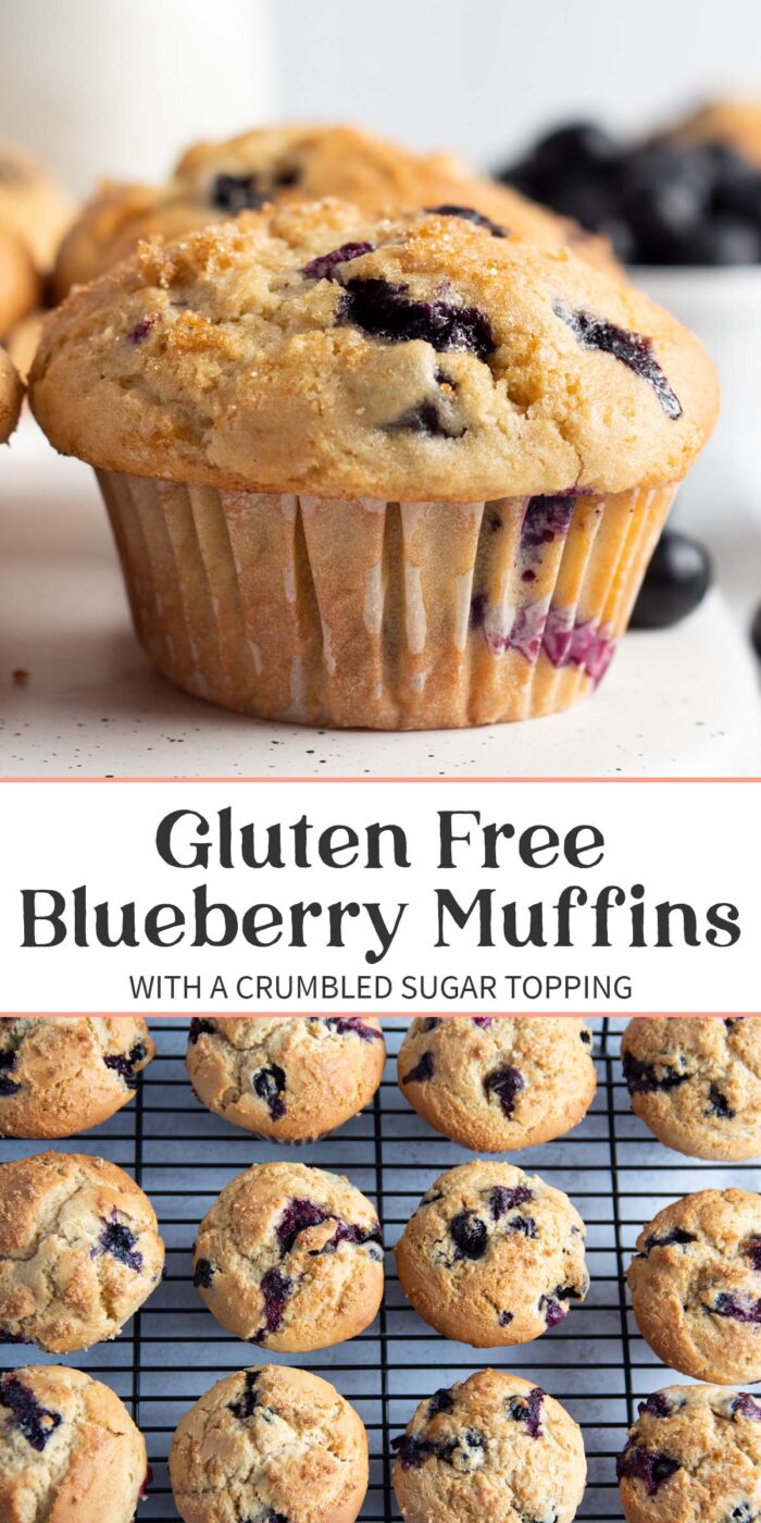 Pin graphic for gluten free blueberry muffins.