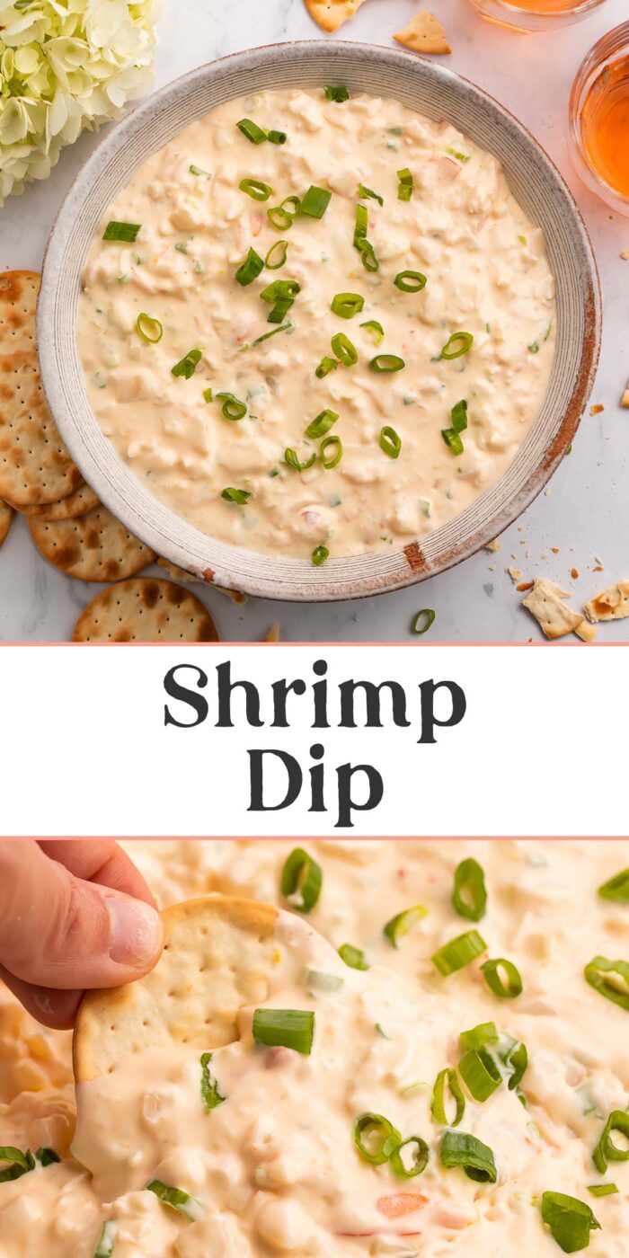 Pin graphic for shrimp dip.