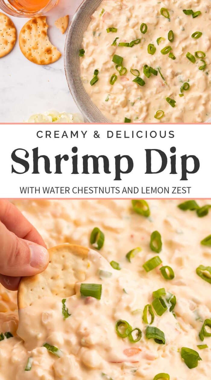 Pin graphic for shrimp dip.