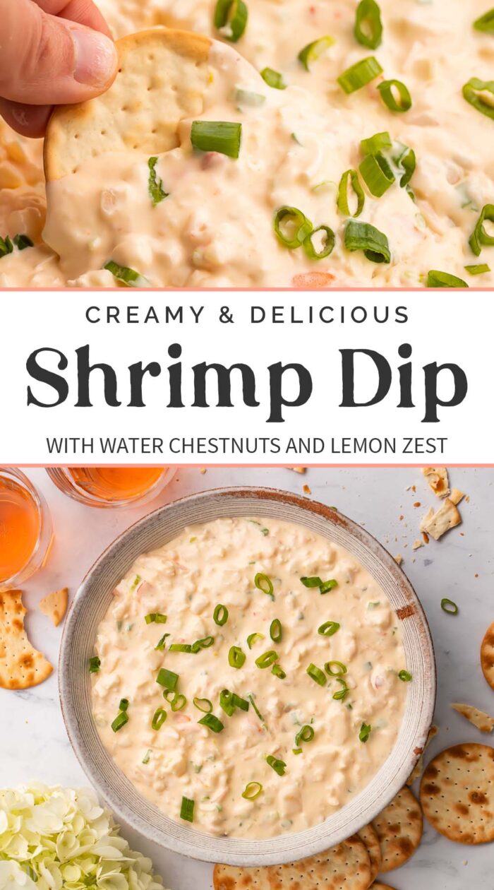 Pin graphic for shrimp dip.