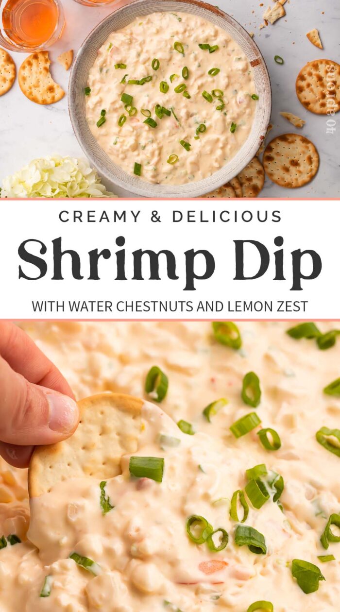 Pin graphic for shrimp dip.