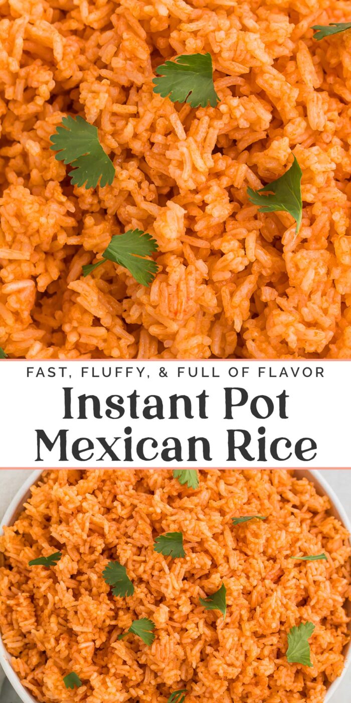 Pin graphic for Instant Pot Mexican rice.