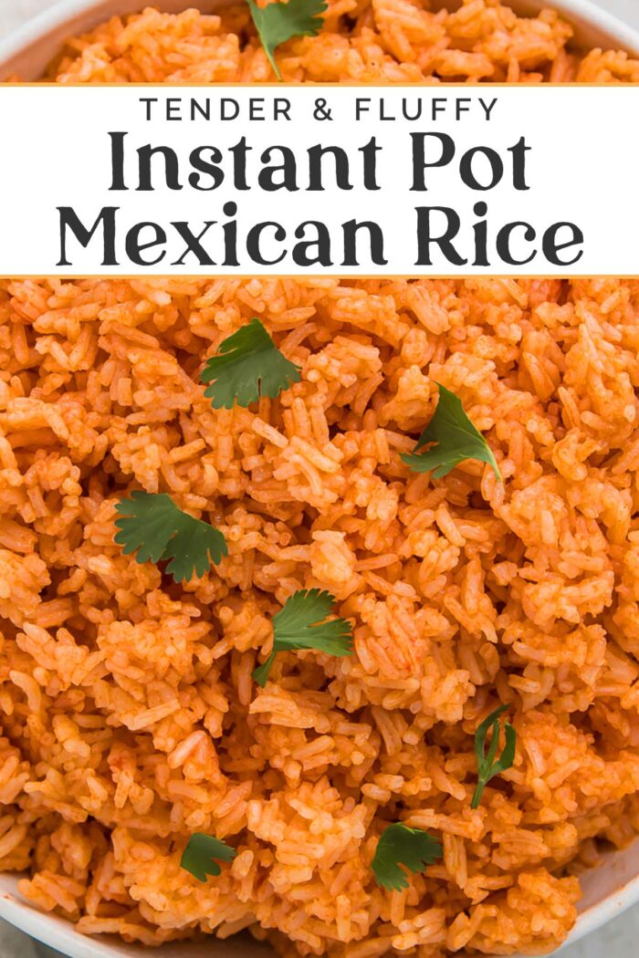 Pin graphic for Instant Pot Mexican rice.