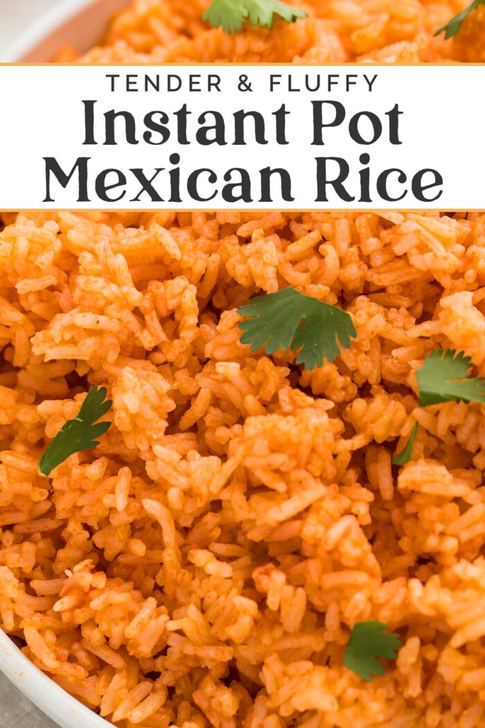 Pin graphic for Instant Pot Mexican rice.