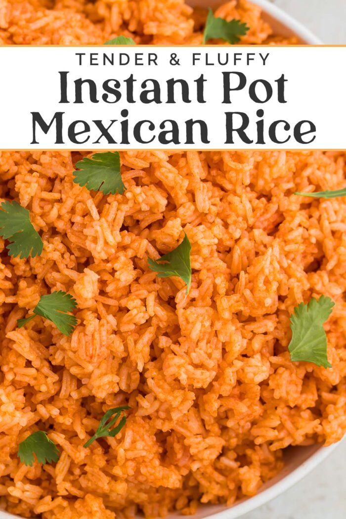 Pin graphic for Instant Pot Mexican rice.