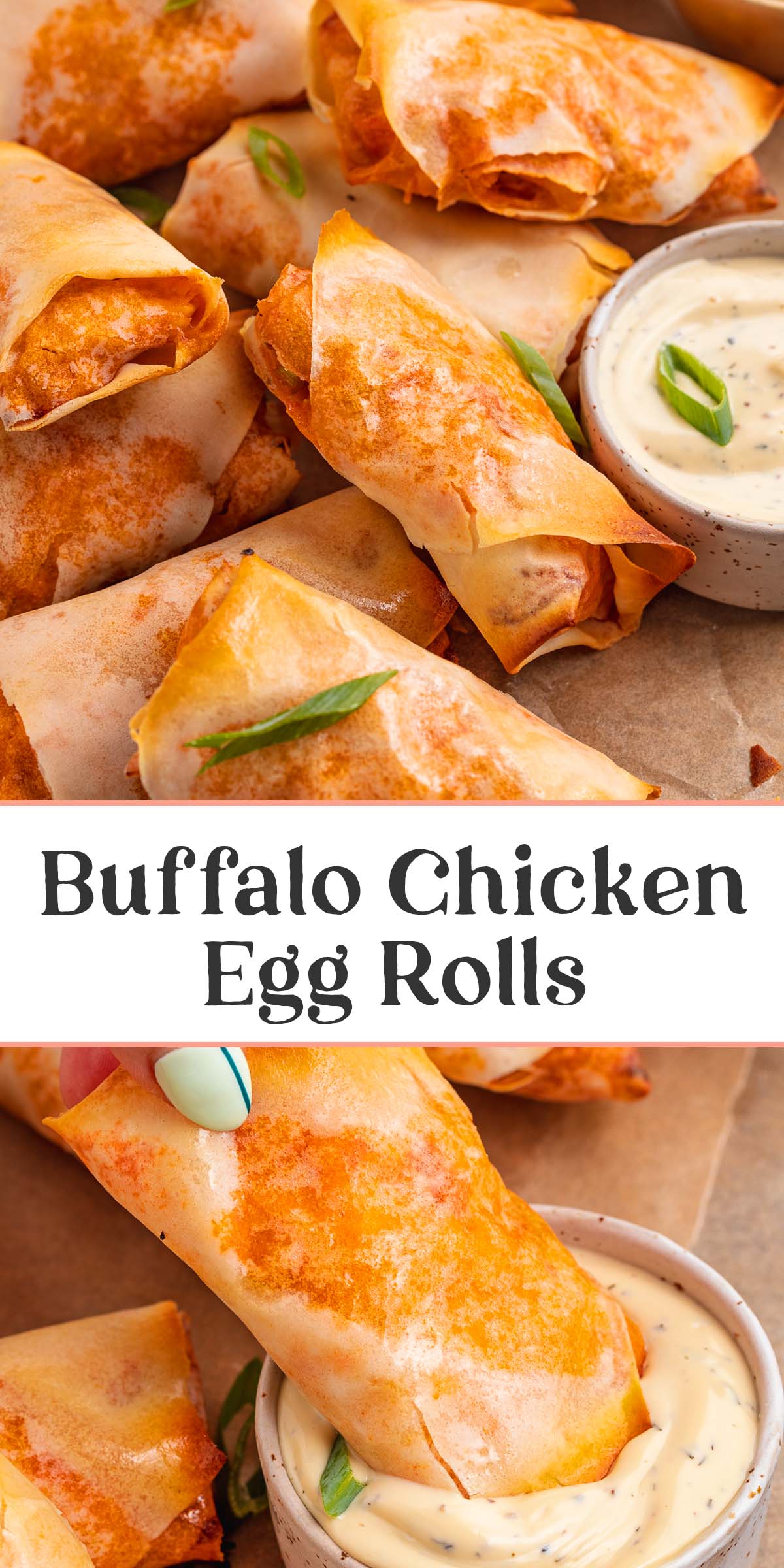 Pin graphic for buffalo chicken egg rolls.